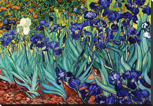 Irises, Saint-Remy - Van Gogh Painting On Canvas